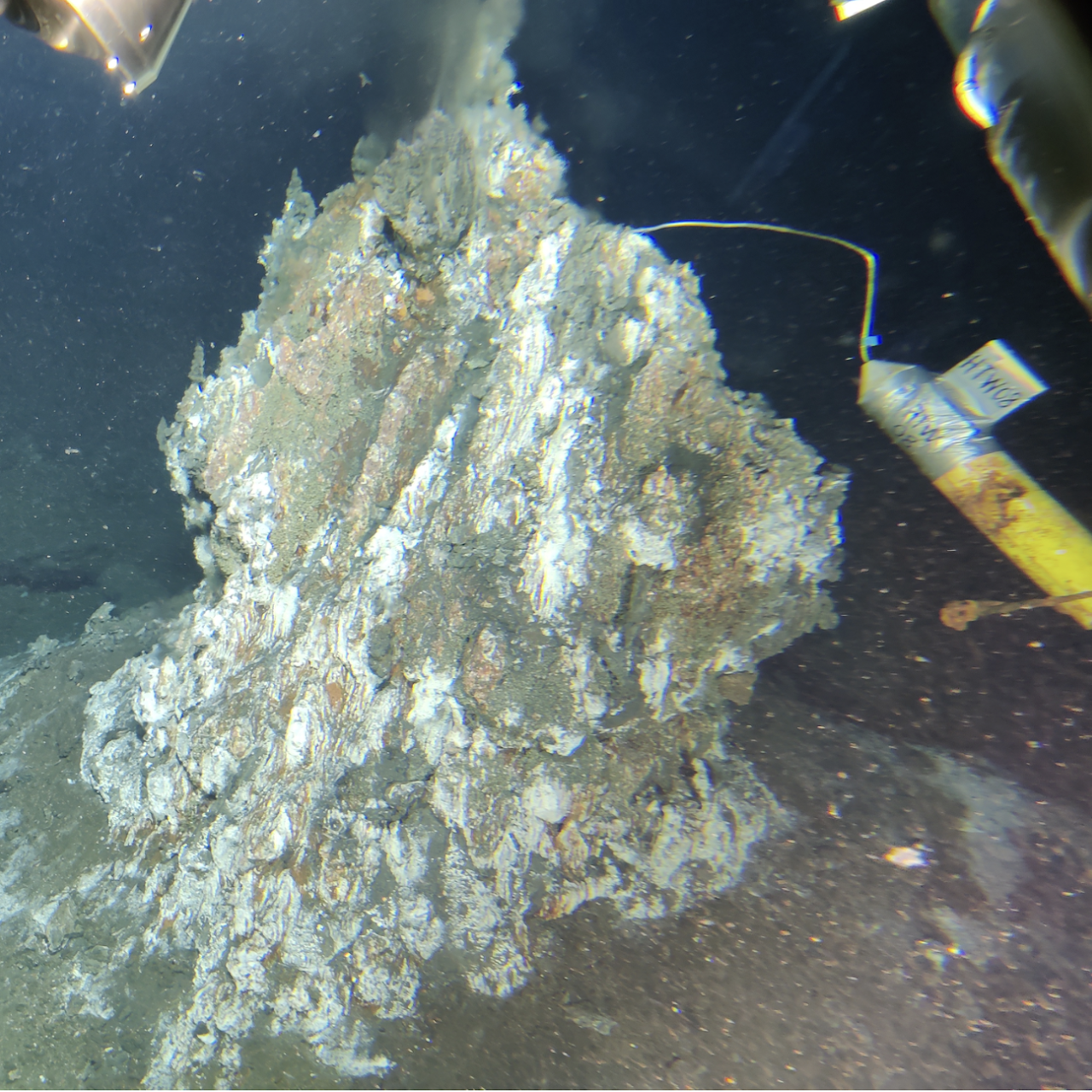 A detailed view of the mineral deposits of a hydrothermal vent